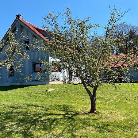 Waldhaus Am Lilienstein Appartement Königstein an der Elbe Buitenkant foto
